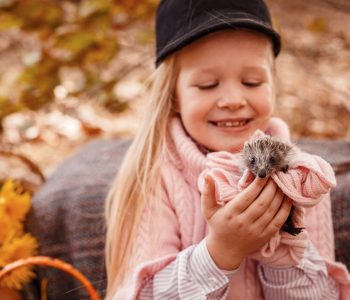 Happy little child girl with cute hedgehog. Portrait of kid with pet in autumn nature, with pumpkins and straw, holding a cup of hot drink